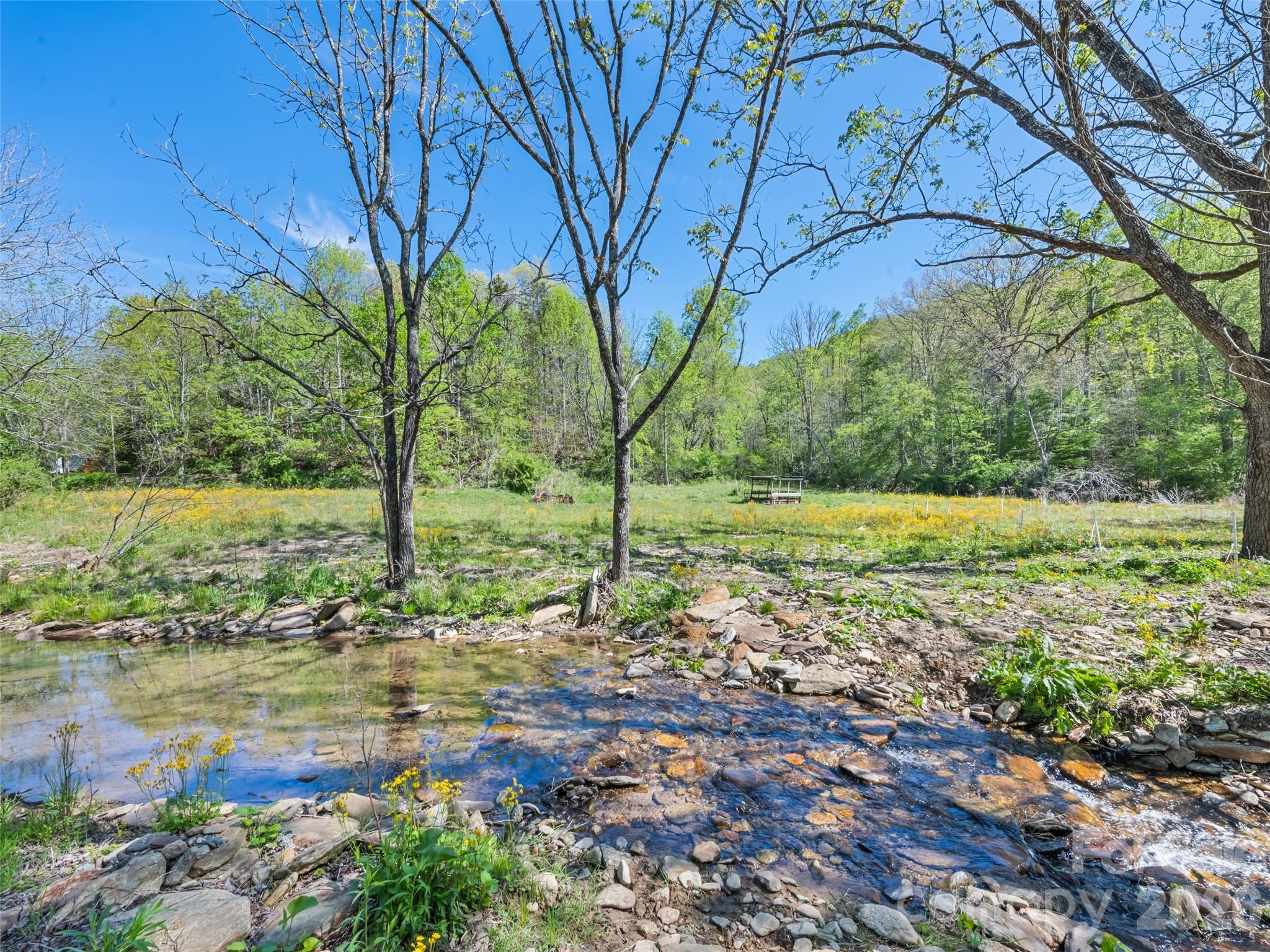 1372 Sand Branch Road Black Mountain, NC 28711 - Photo 25 of 45 a view of a lake with a tree