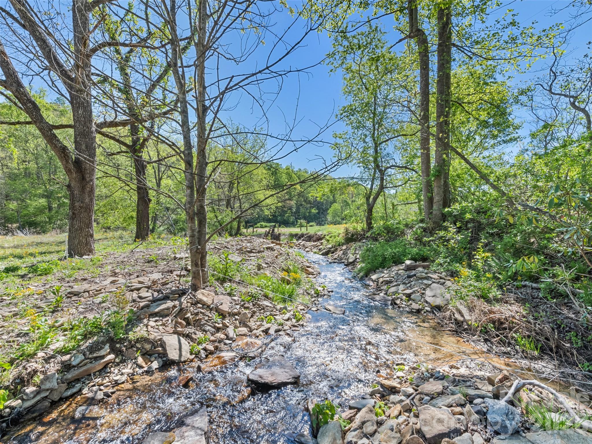 1372 Sand Branch Road Black Mountain, NC 28711 - Photo 26 of 45 a backyard of a house with lots of green space