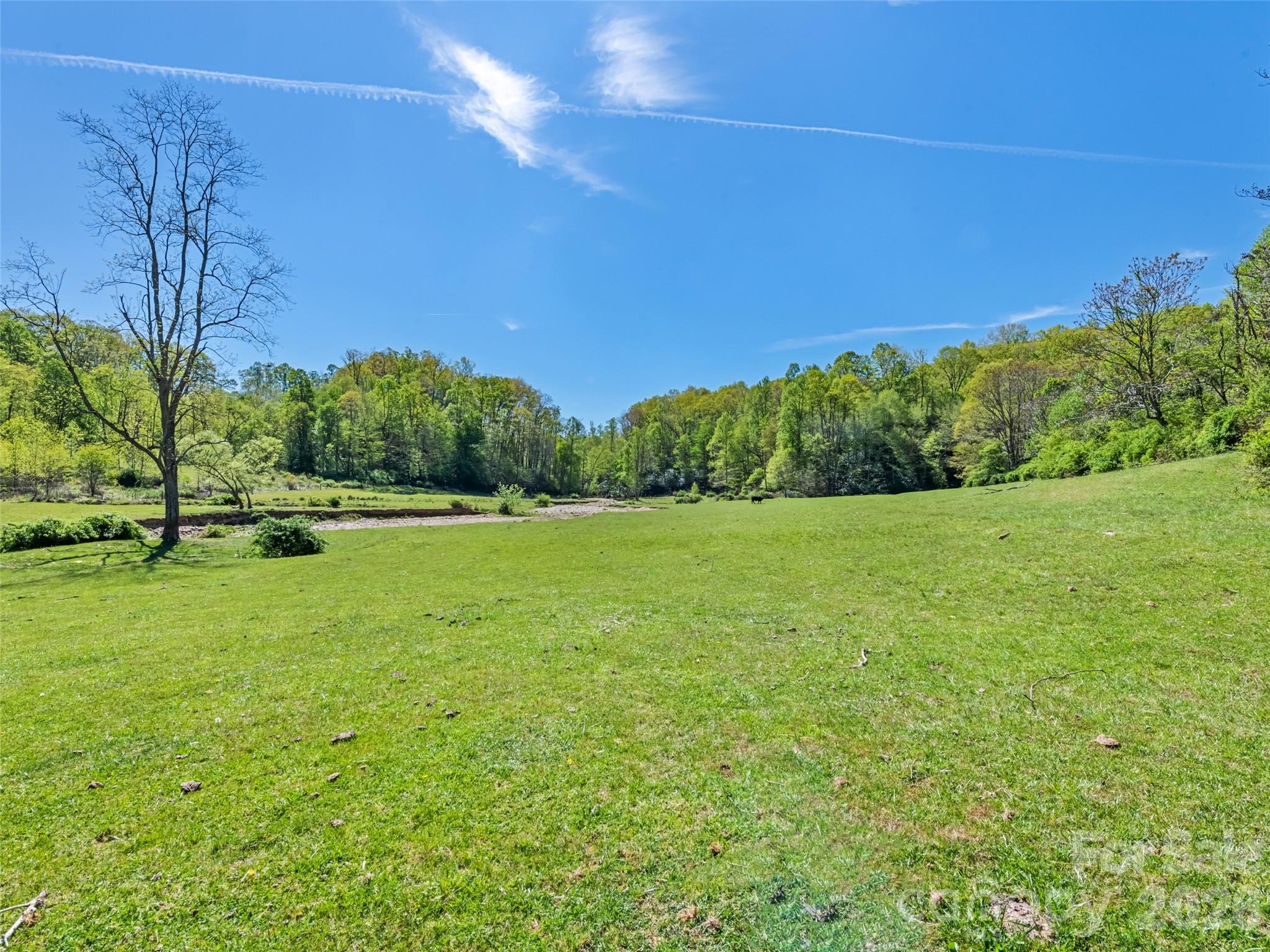 1372 Sand Branch Road Black Mountain, NC 28711 - Photo 28 of 45 a view of a green field