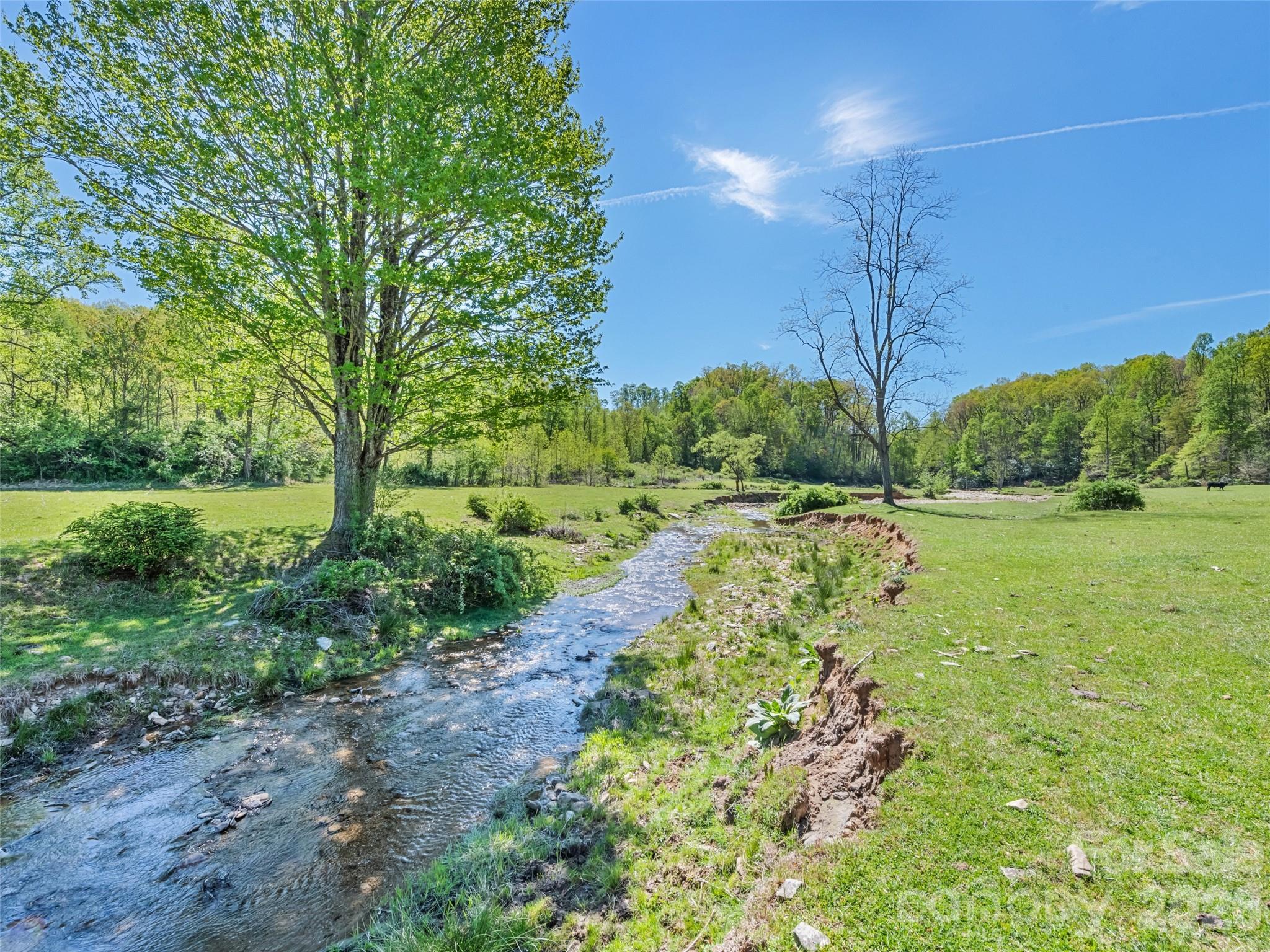 1372 Sand Branch Road Black Mountain, NC 28711 - Photo 29 of 45 a view of a garden with an outdoor space