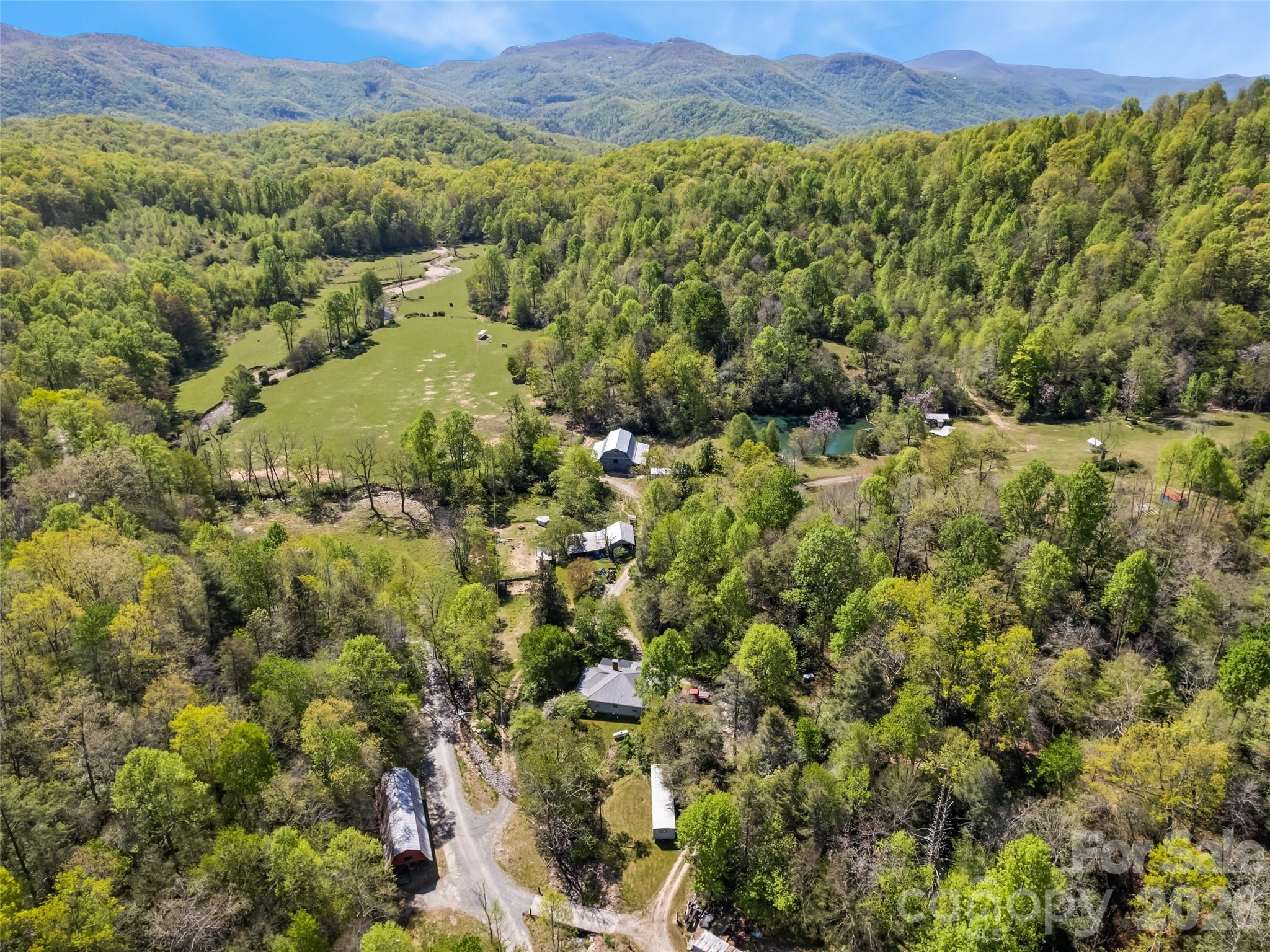 1372 Sand Branch Road Black Mountain, NC 28711 - Photo 3 of 45 a view of a lush green field with a mountain in the background