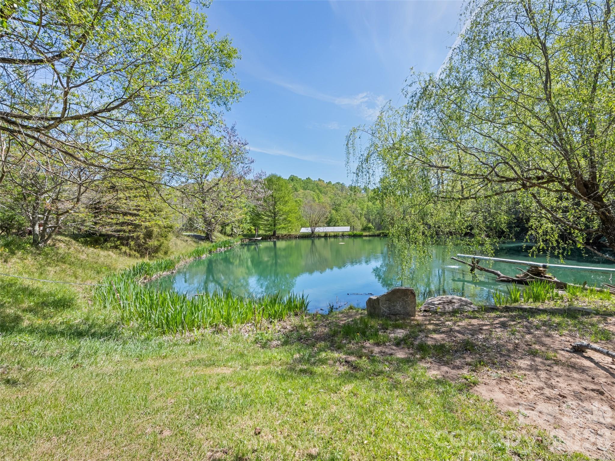 1372 Sand Branch Road Black Mountain, NC 28711 - Photo 31 of 45 a body of water with a tree in the background