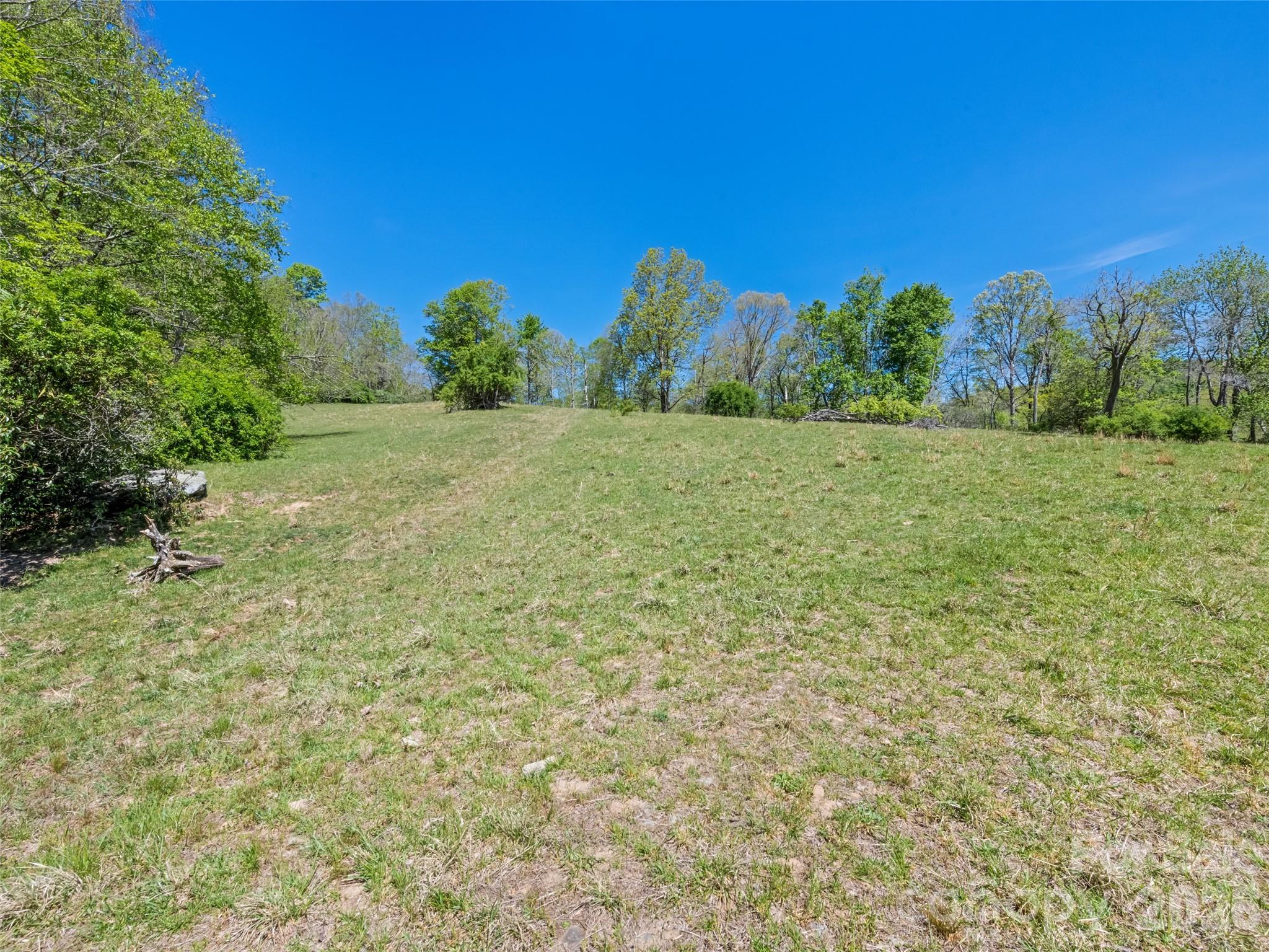1372 Sand Branch Road Black Mountain, NC 28711 - Photo 34 of 45 a view of a yard