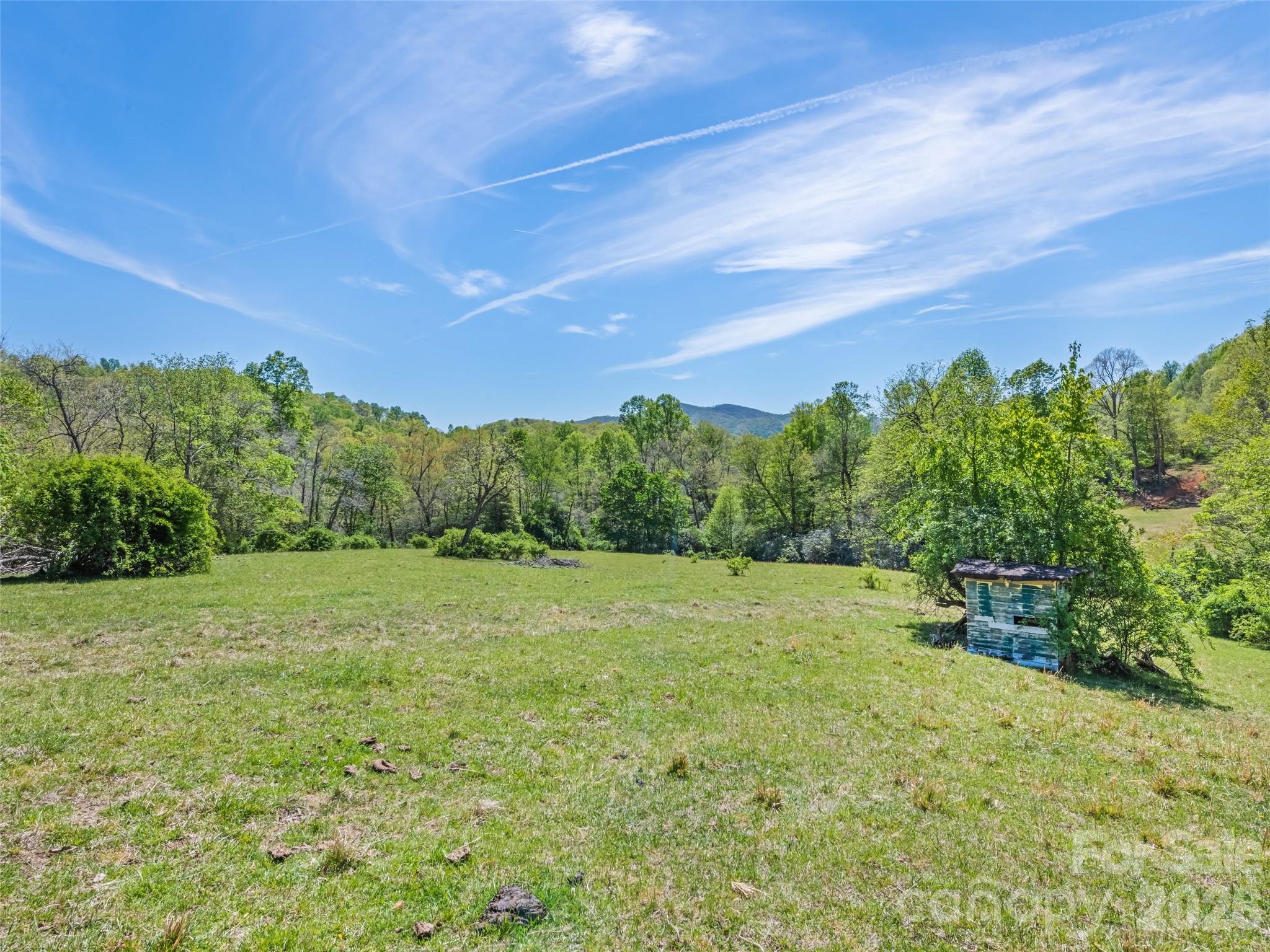 1372 Sand Branch Road Black Mountain, NC 28711 - Photo 35 of 45 a big yard with lots of green space