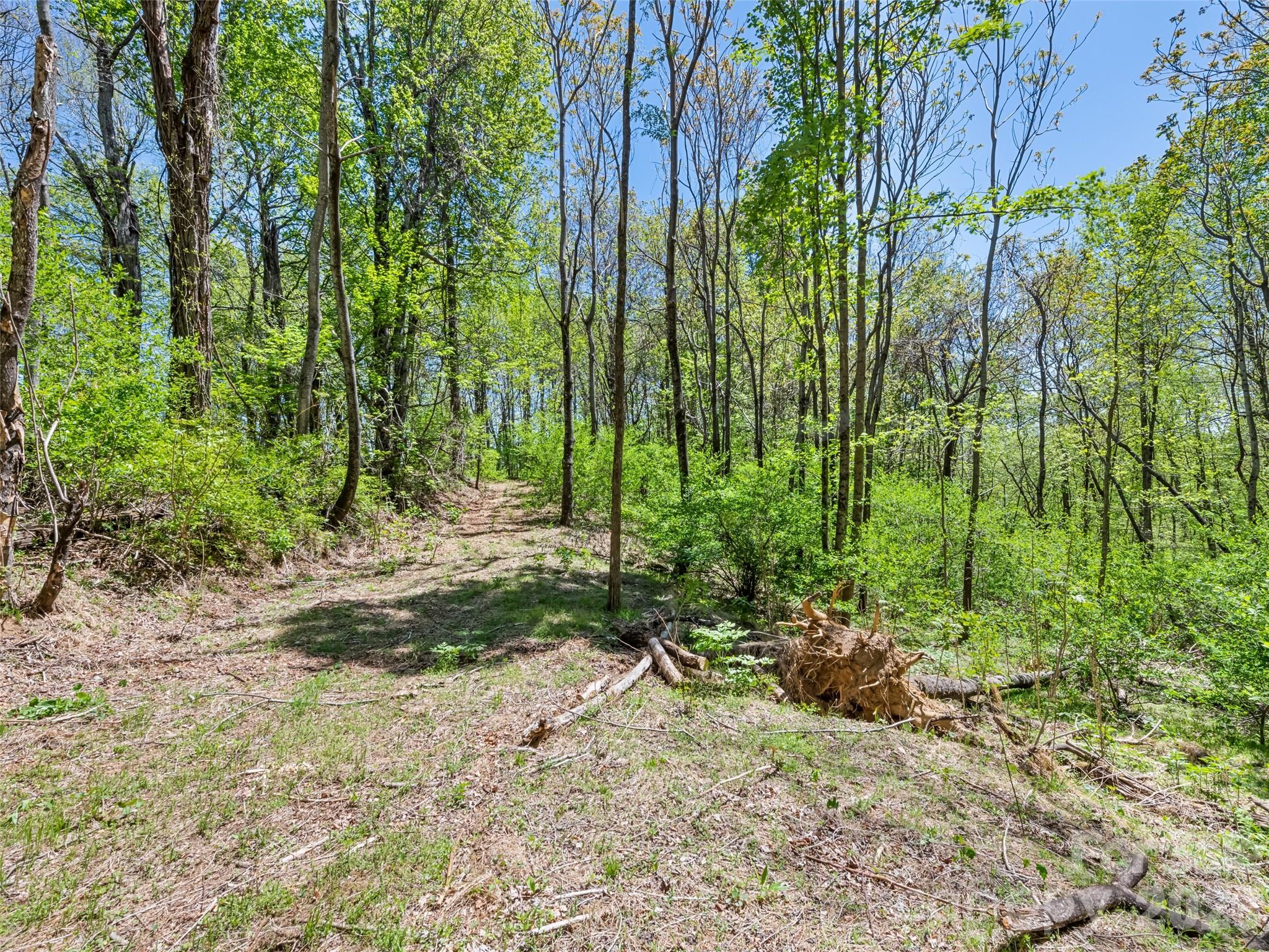 1372 Sand Branch Road Black Mountain, NC 28711 - Photo 39 of 45 a view of backyard