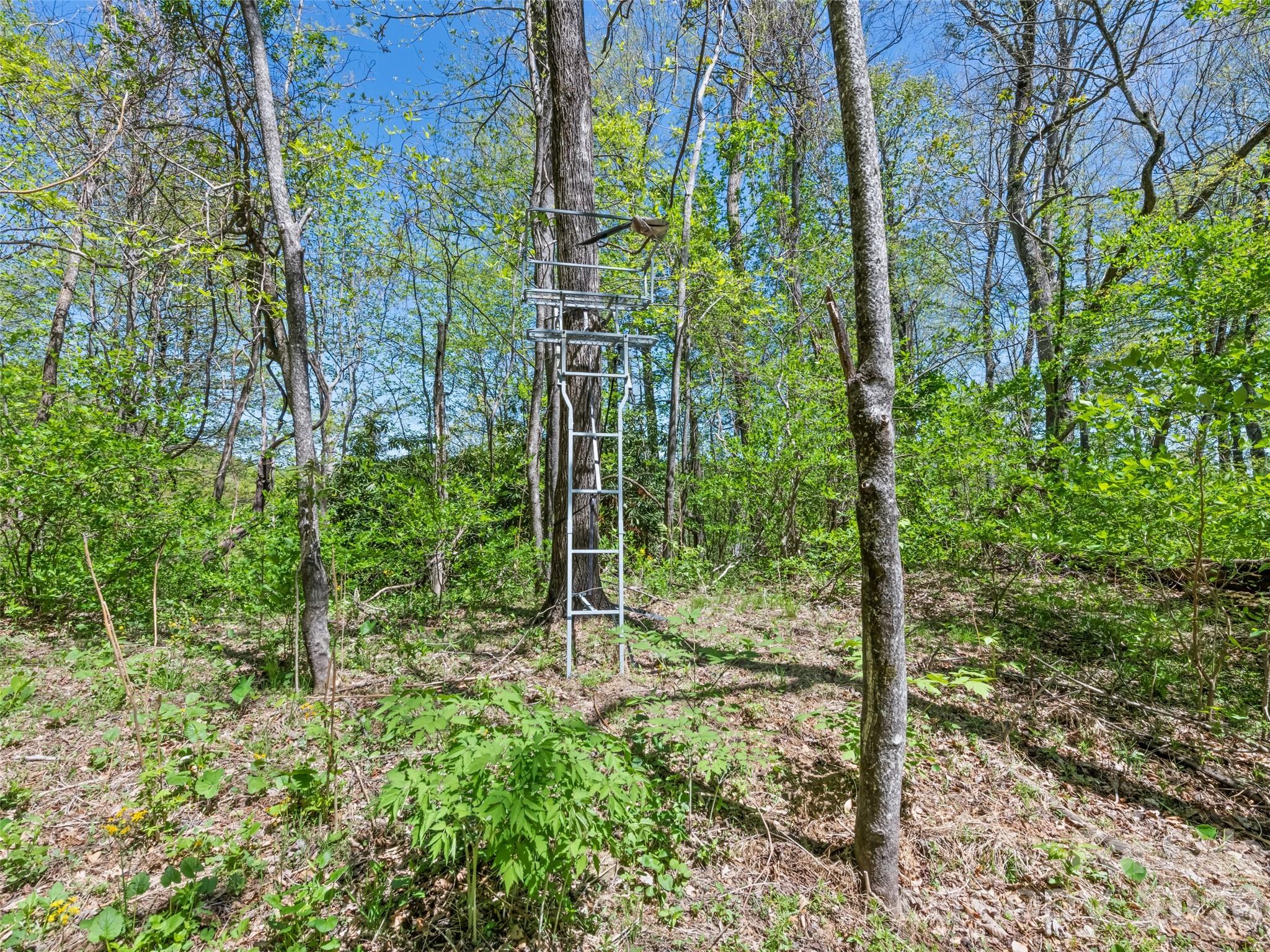 1372 Sand Branch Road Black Mountain, NC 28711 - Photo 40 of 45