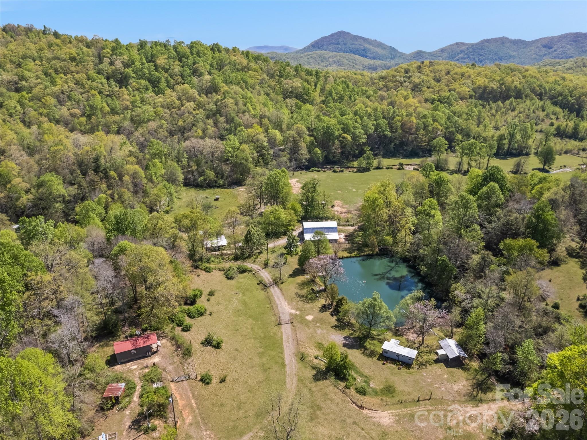 1372 Sand Branch Road Black Mountain, NC 28711 - Photo 4 of 45 a view of a city with mountains in the background