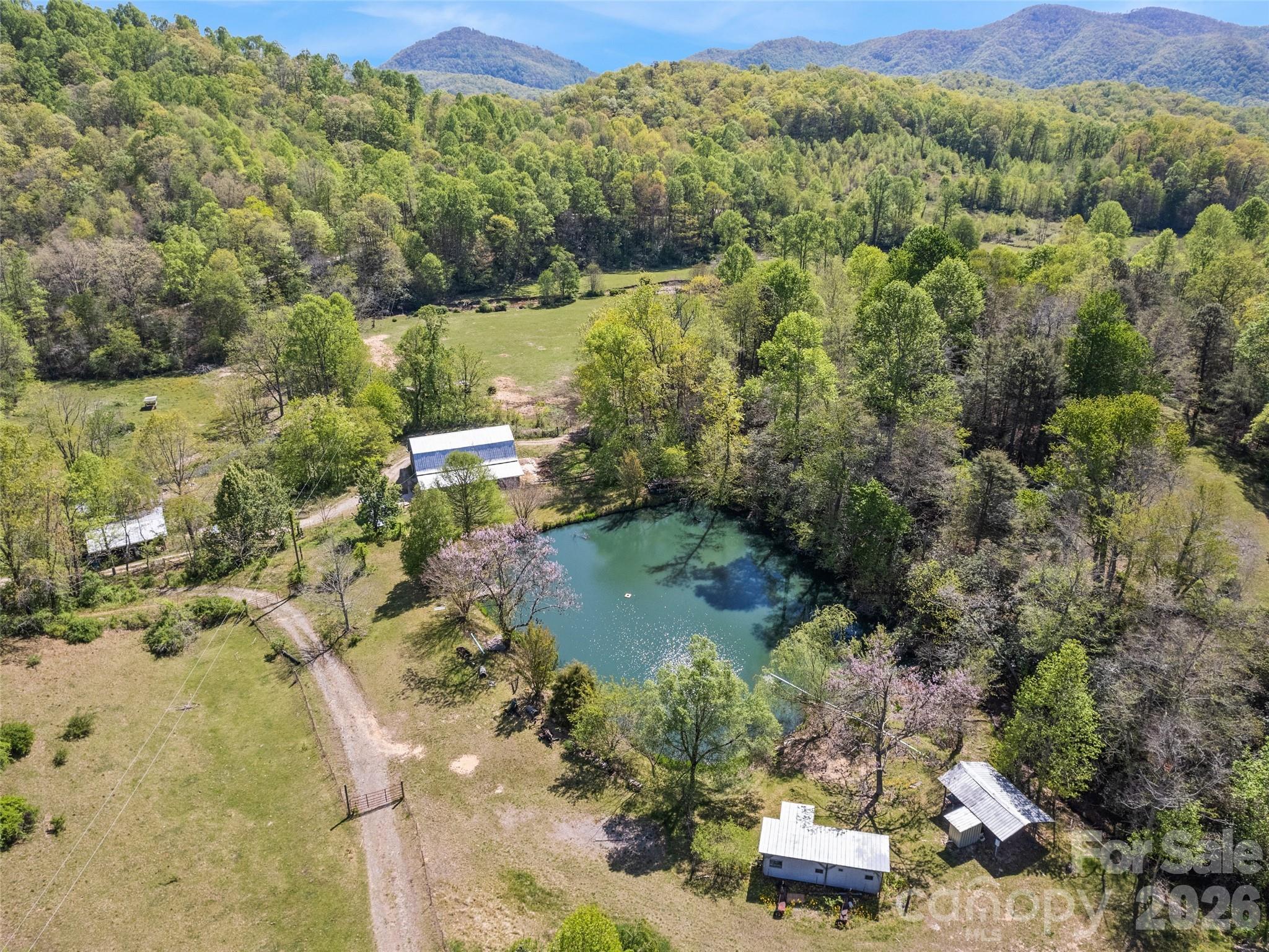 1372 Sand Branch Road Black Mountain, NC 28711 - Photo 5 of 45 a view of a forest with a lake