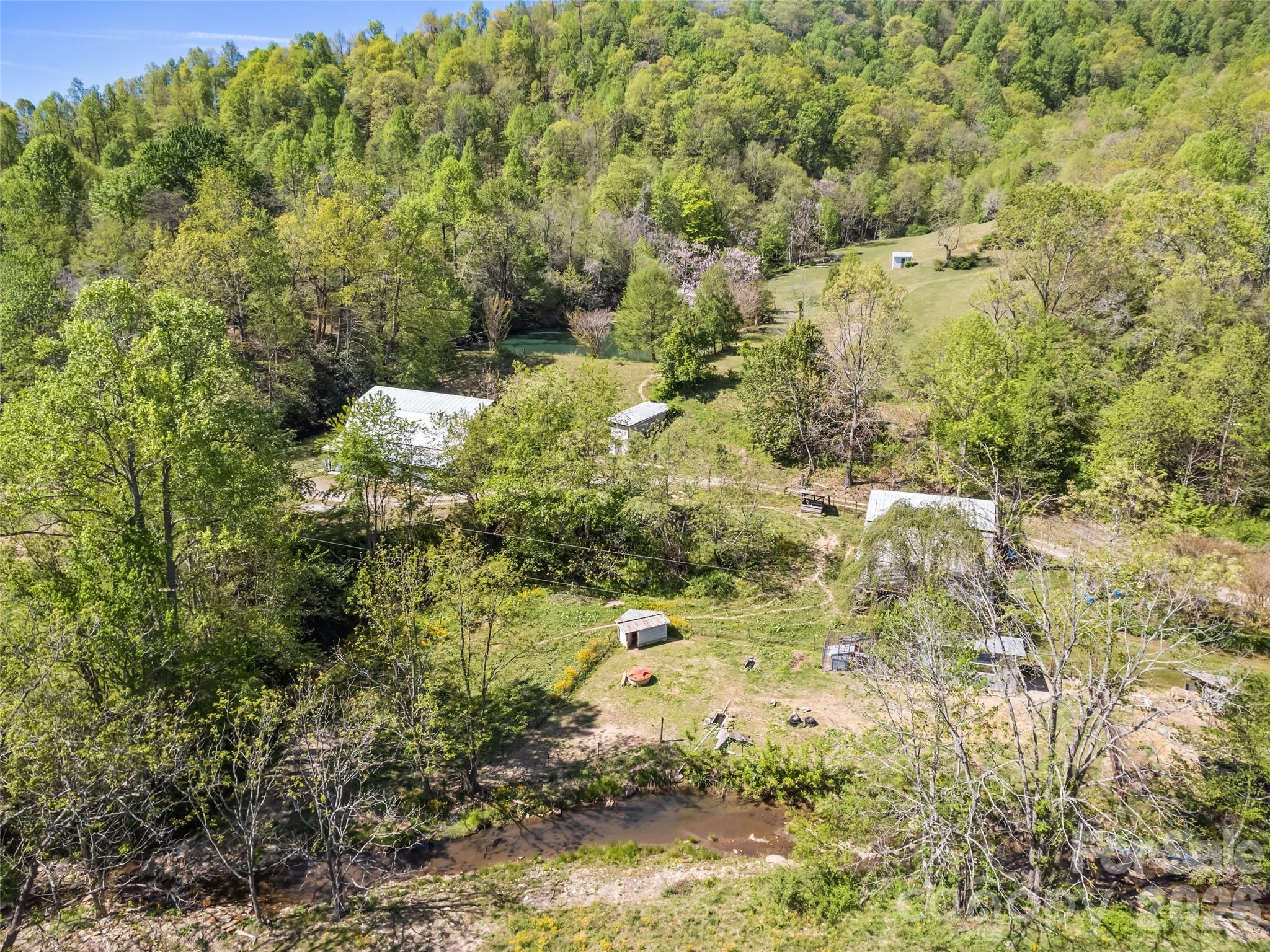1372 Sand Branch Road Black Mountain, NC 28711 - Photo 6 of 45 a view of a yard with plants and large trees