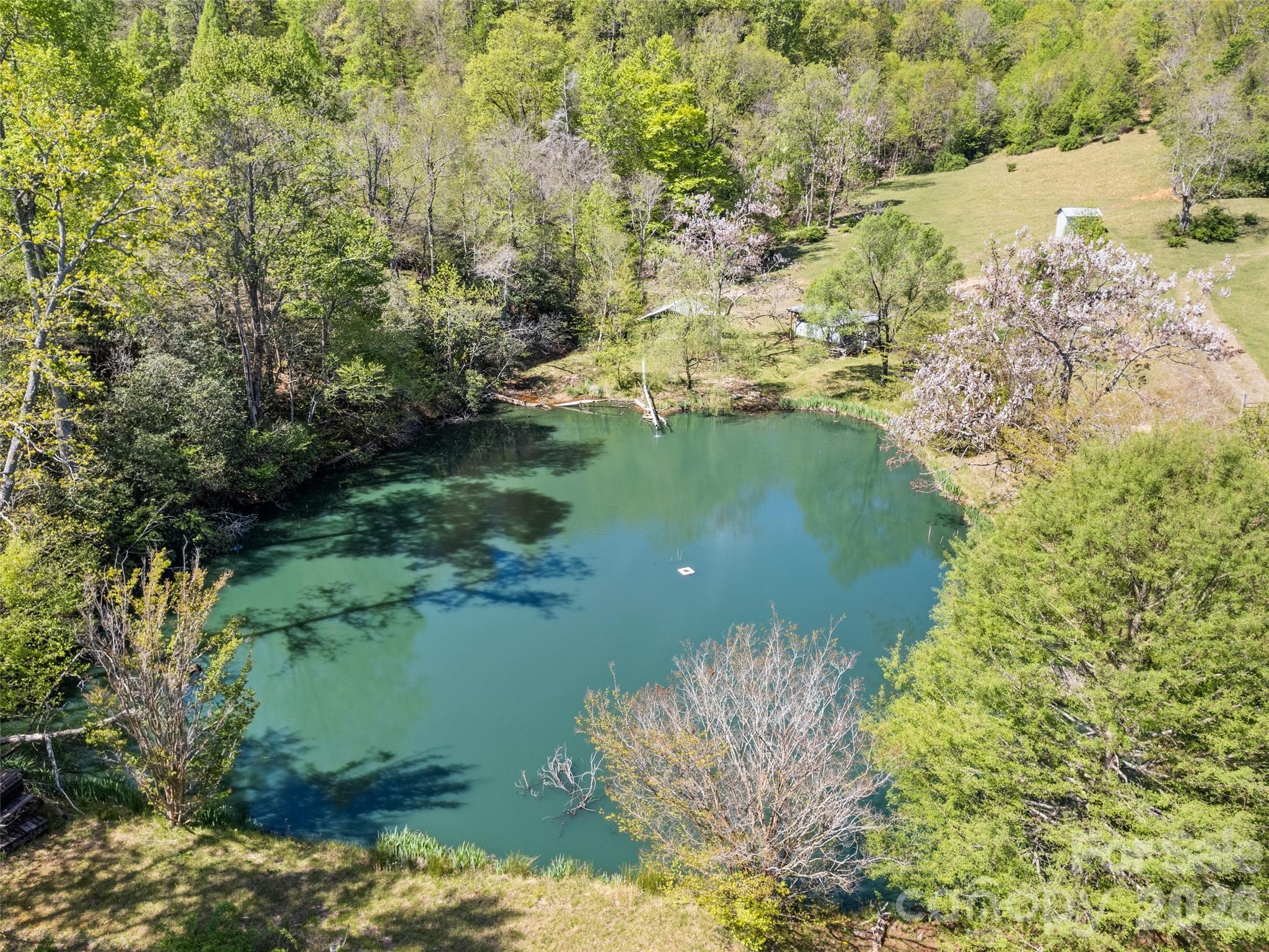 1372 Sand Branch Road Black Mountain, NC 28711 - Photo 8 of 45 a view of lake from yard