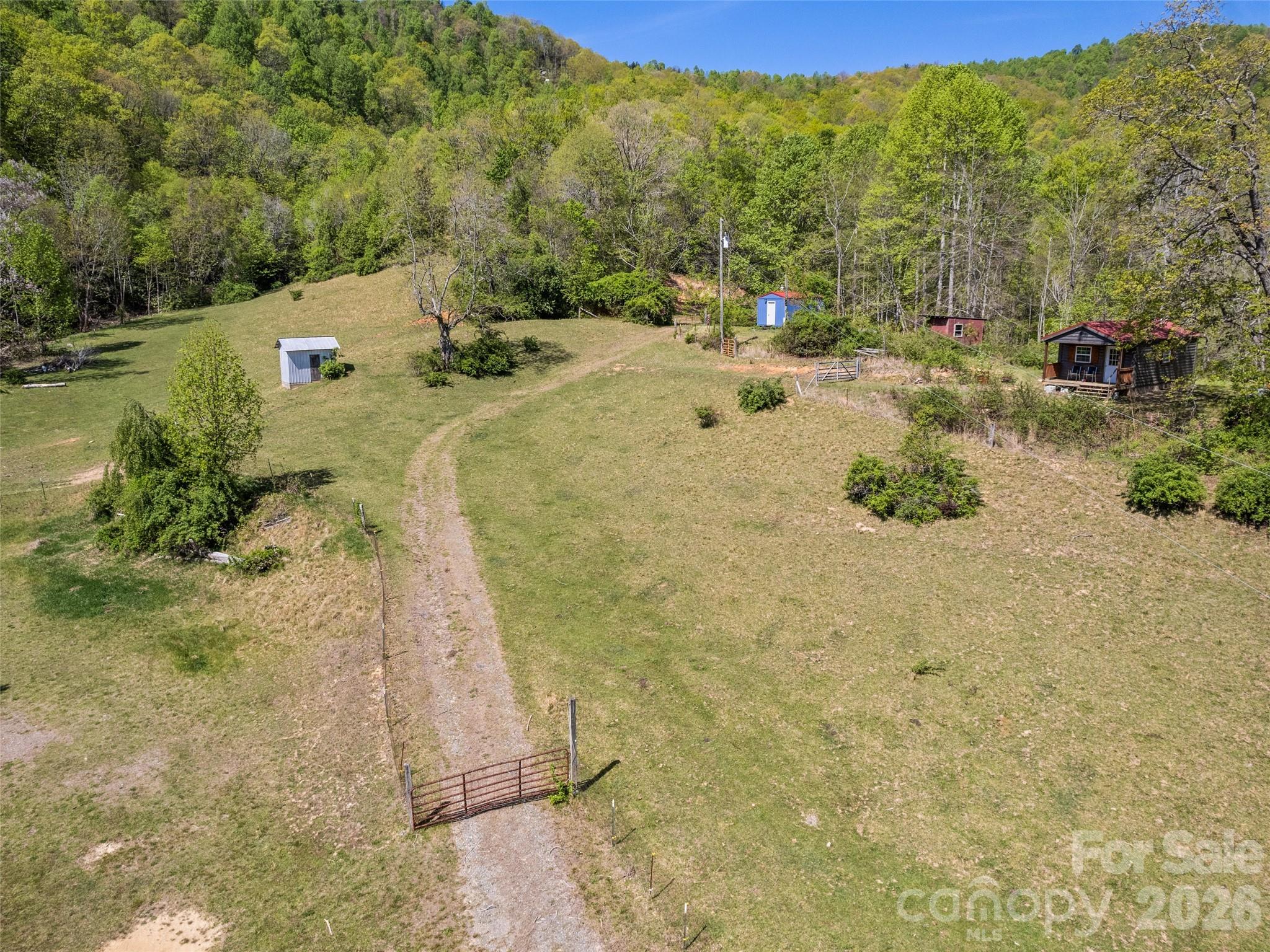 1372 Sand Branch Road Black Mountain, NC 28711 - Photo 9 of 45 a view of a yard with trees