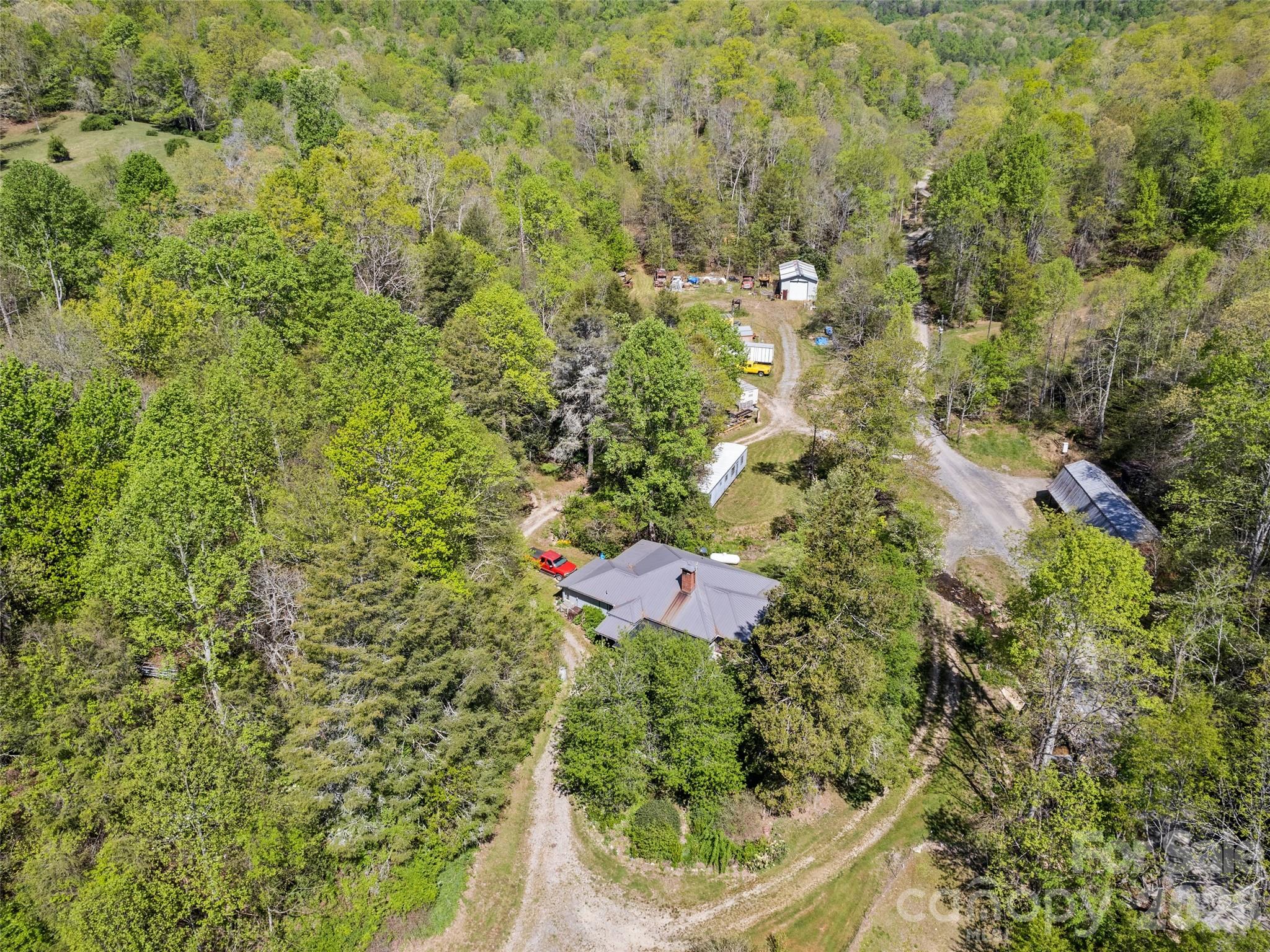 1372 Sand Branch Road Black Mountain, NC 28711 - Photo 10 of 45 a view of a yard with plants