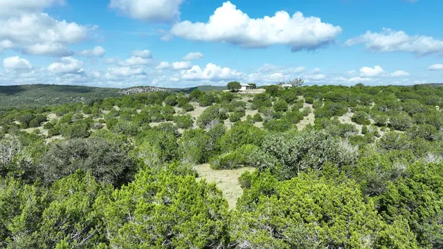 a view of a green field with lots of trees in the background