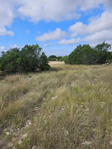 a view of a yard with an outdoor space