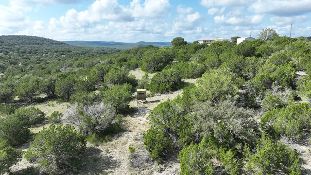 a view of a green field with lots of bushes