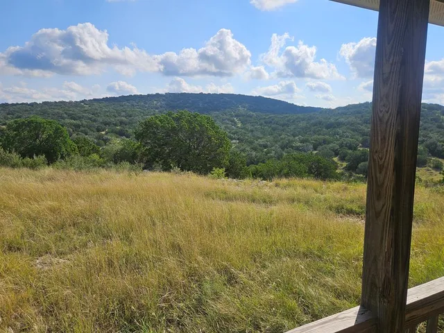 a view of a horse in a field with large trees