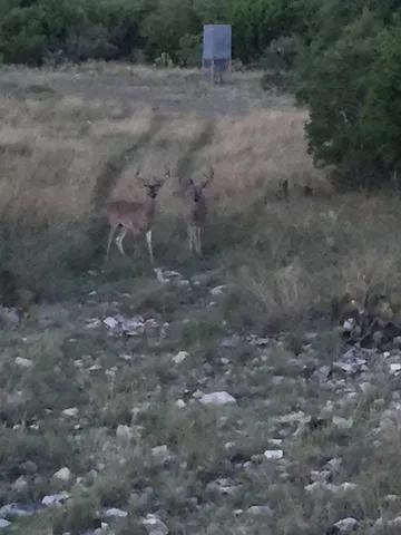 $865,000 | 7997 Sd 52100, Rocksprings, TX 78880