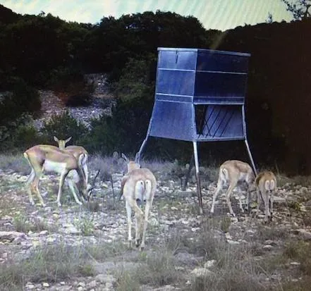 a view of a small house