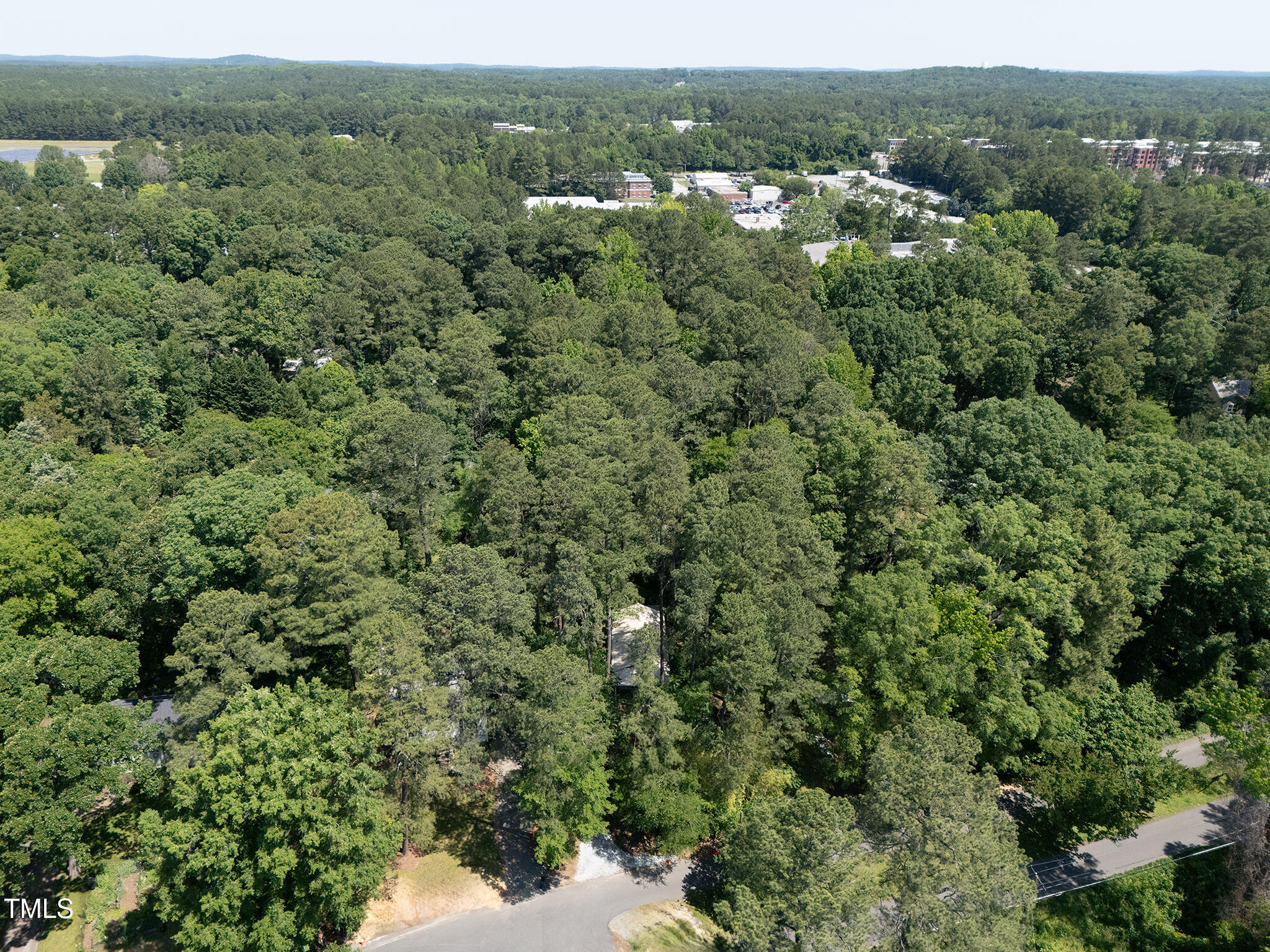 126 Barclay Road Chapel Hill, NC 27516 - Photo 36 of 39 a view of a forest with a street