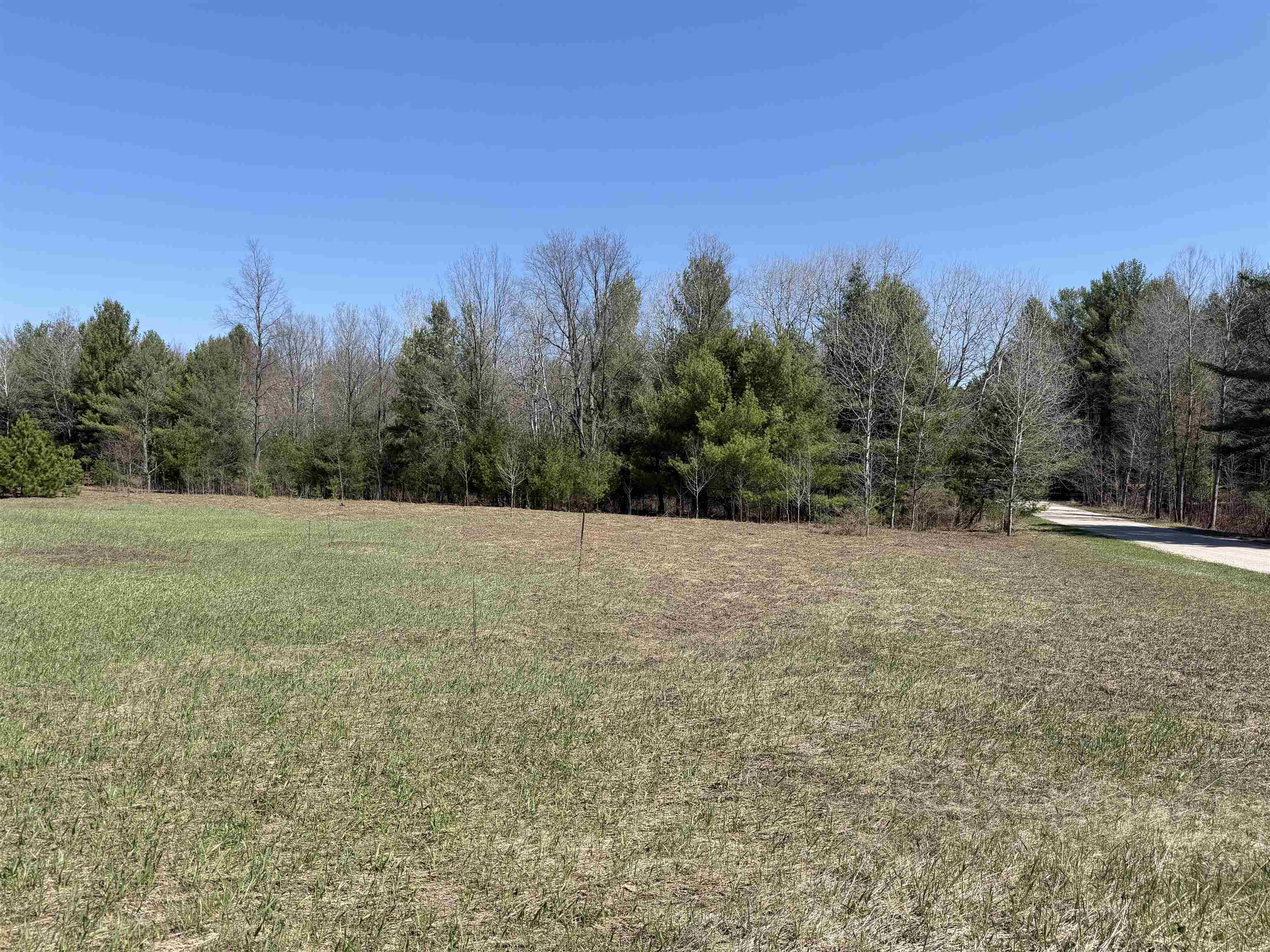 0 Landis Road Thompsonville, MI 49683 - Photo 17 of 26