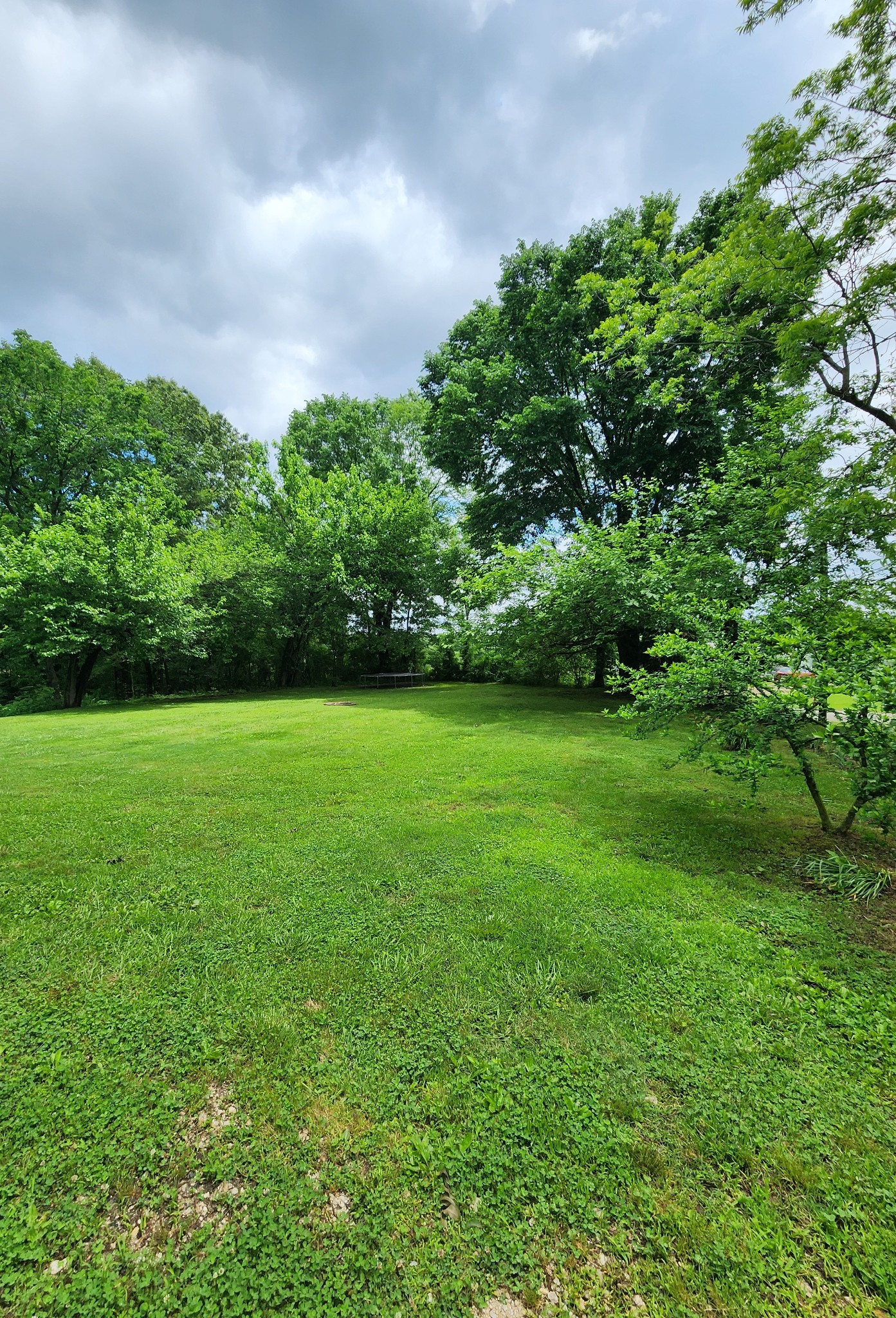 1270 Lumber Road Henry, TN 38231 - Photo 15 of 19 Gallery Image 15