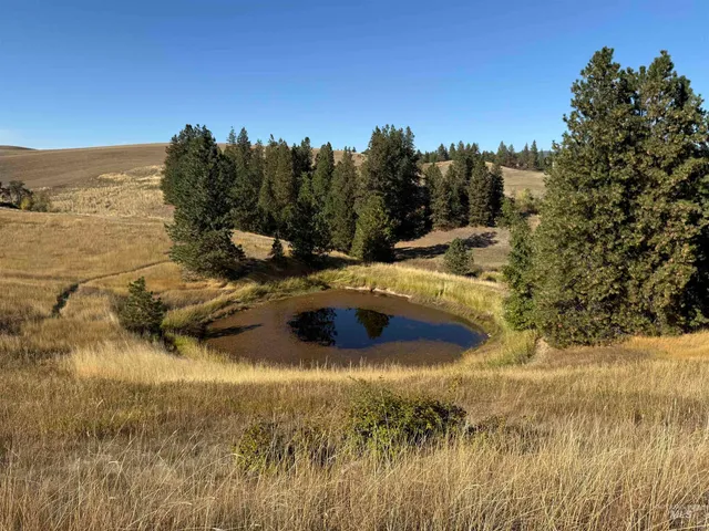 $1,274,000 | 1030 Reams Road, Moscow, ID 83843