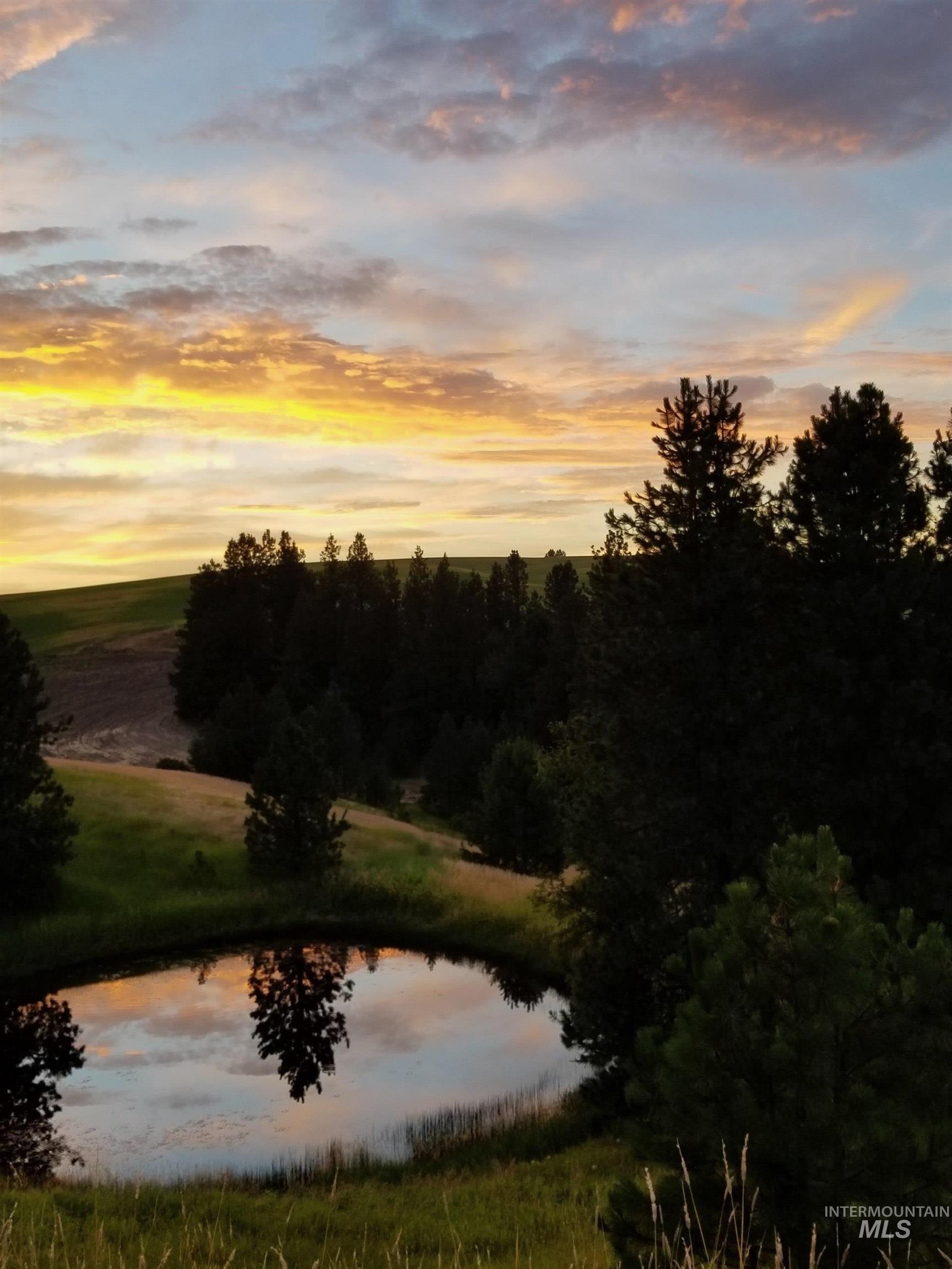 1030 Reams Road Moscow, ID 83843 - Photo 47 of 50 Water view