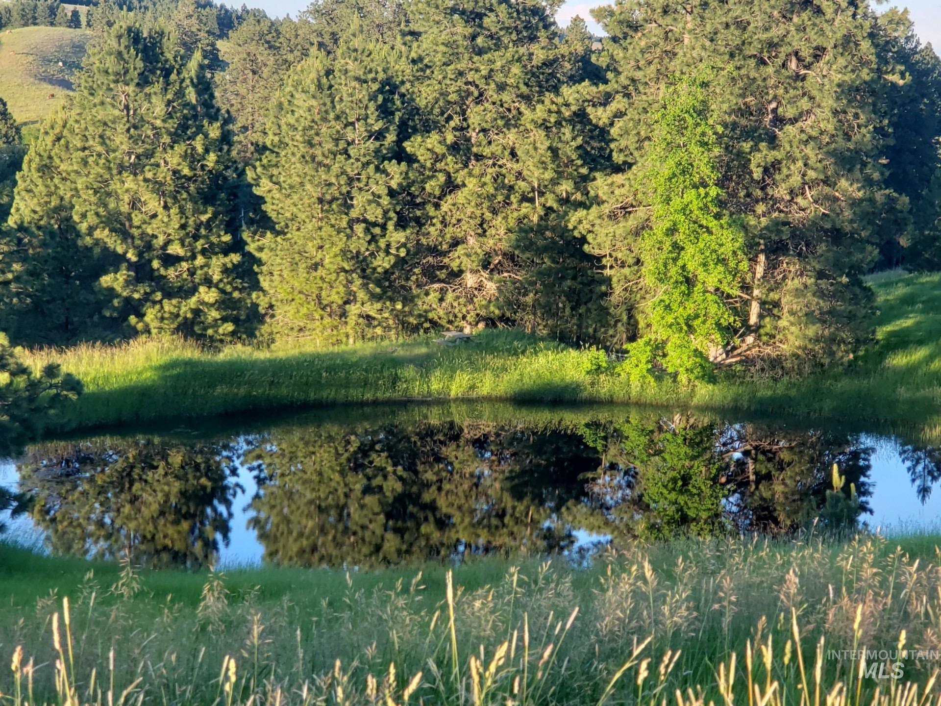 1030 Reams Road Moscow, ID 83843 - Photo 8 of 50 Water view