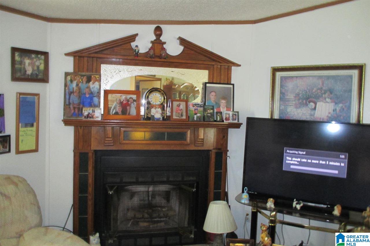 1466 King Road Oneonta, AL 35121 - Photo 9 of 29