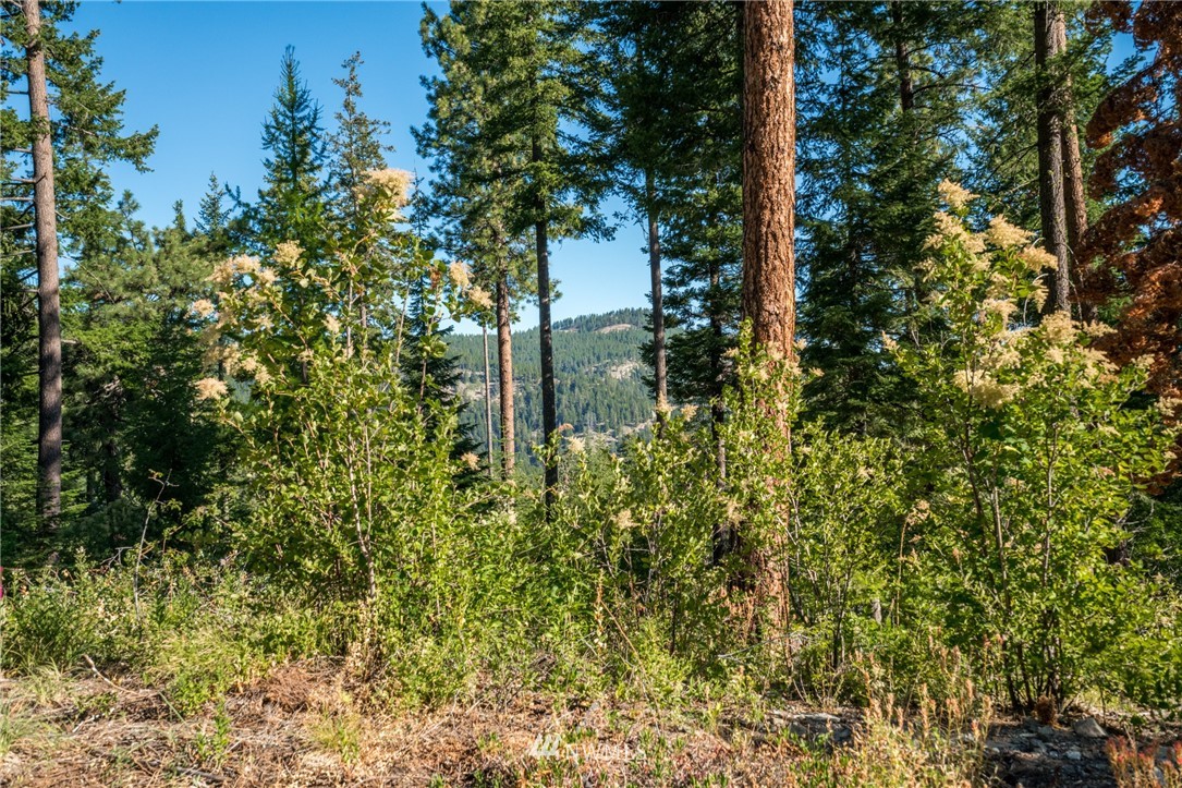 6768 Forest Ridge Drive Wenatchee, WA 98801 - Photo 22 of 27 Gallery Image 22
