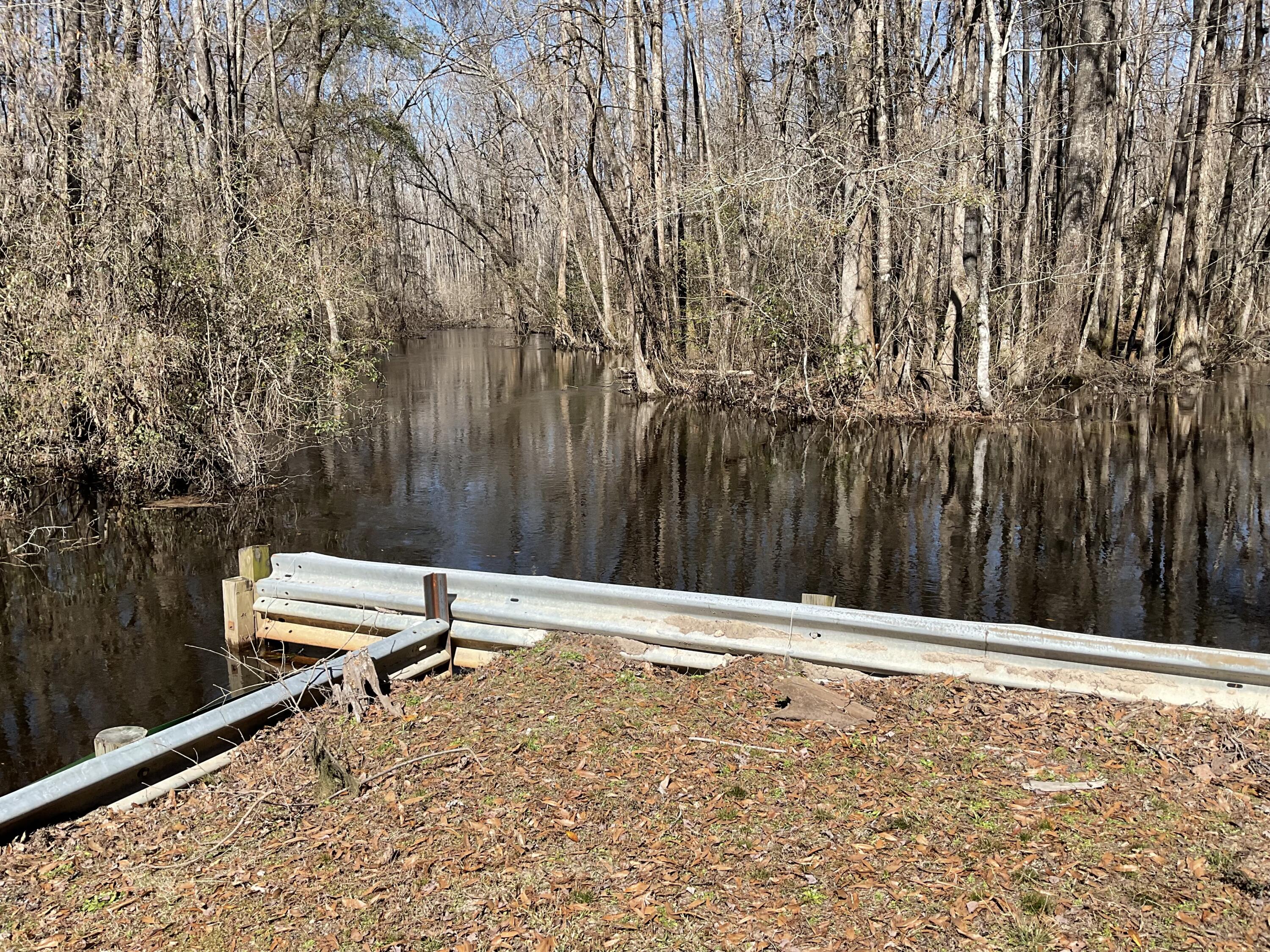 1114 Lott Bluff Road Blackville, SC 29817 - Photo 145 of 164