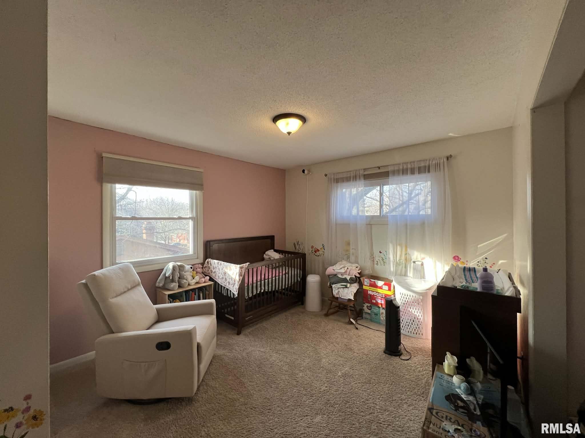 292 Jana Road Macomb, IL 61455 - Photo 11 of 23