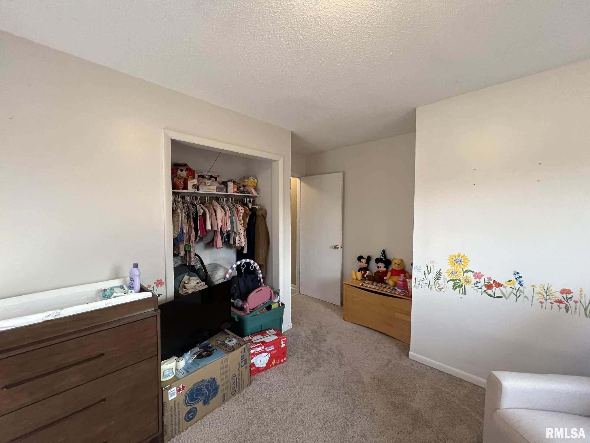 292 Jana Road Macomb, IL 61455 - Photo 12 of 23