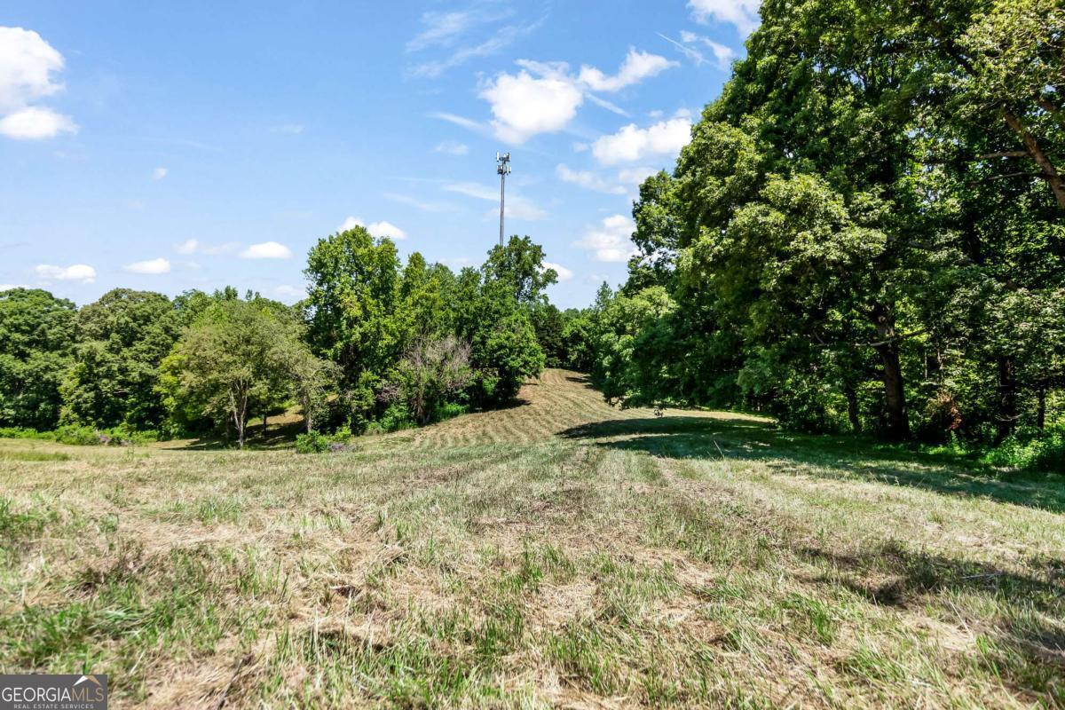 773 Fairview Road Jasper, GA 30143 - Photo 26 of 73