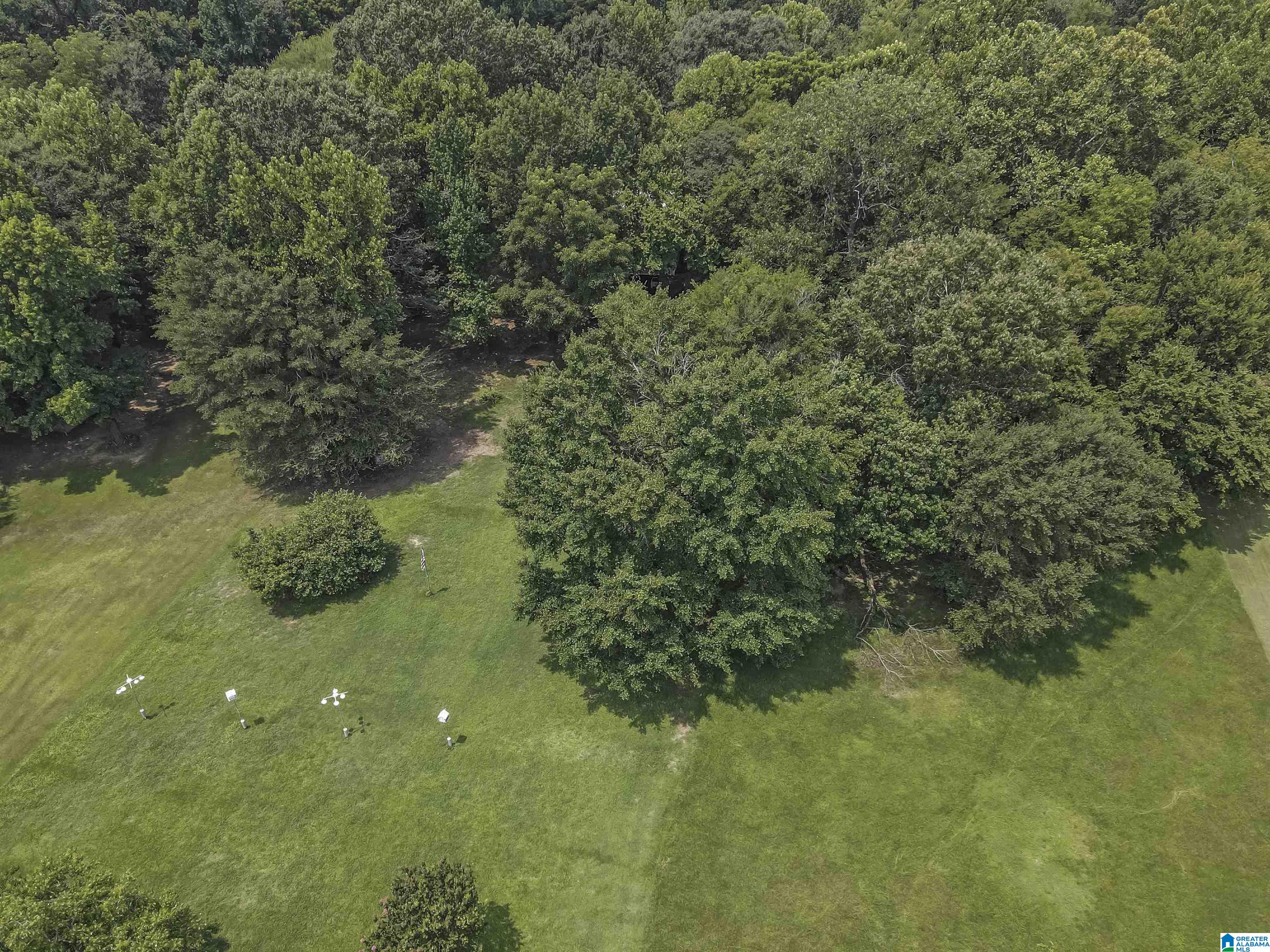 13615 Riverbend Road Moundville, AL 35474 - Photo 32 of 33