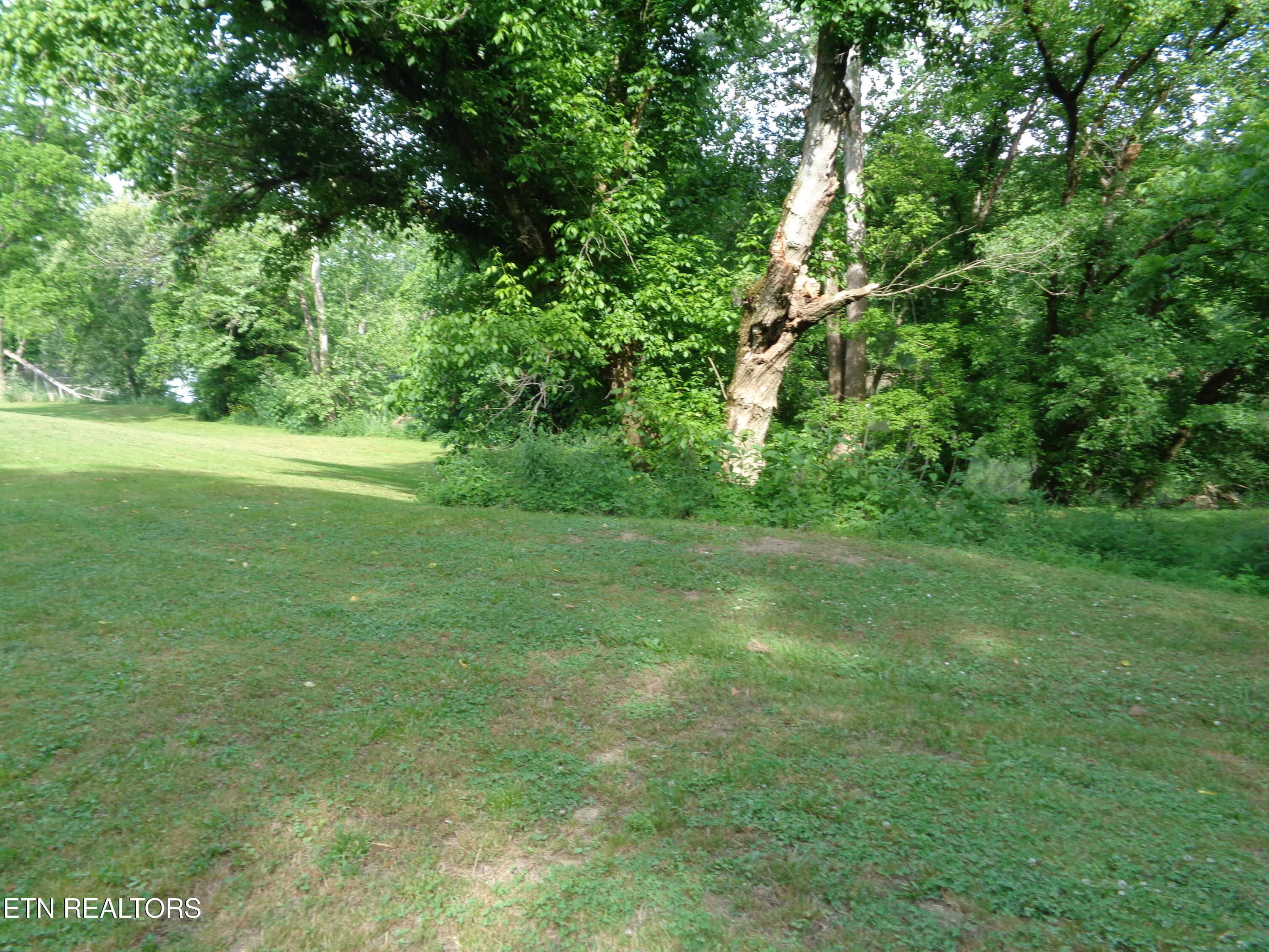 0 Kyles Ford Road Kyles Ford, TN 37765 - Photo 15 of 18 DSC01101