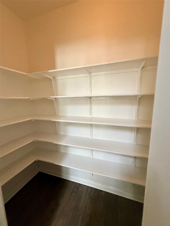 1701 Atlas Road Cedar Park, TX 78613 - Photo 6 of 23 a view of walk in closet with empty racks