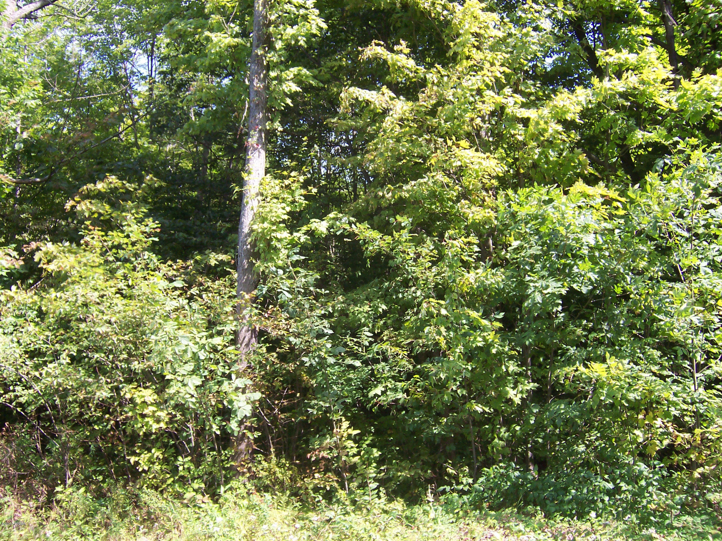 North Barnes Road Moscow, PA 18444 - Photo 6 of 6
