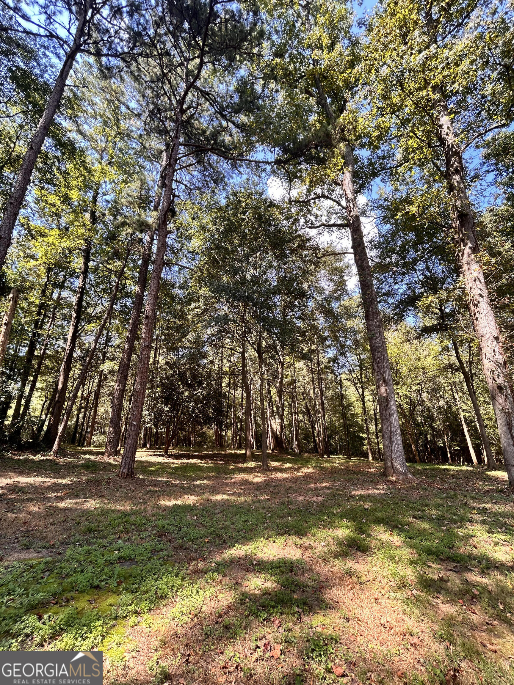 711 West Ridgeway Road Maysville, GA 30558 - Photo 30 of 38 a view of outdoor space with trees