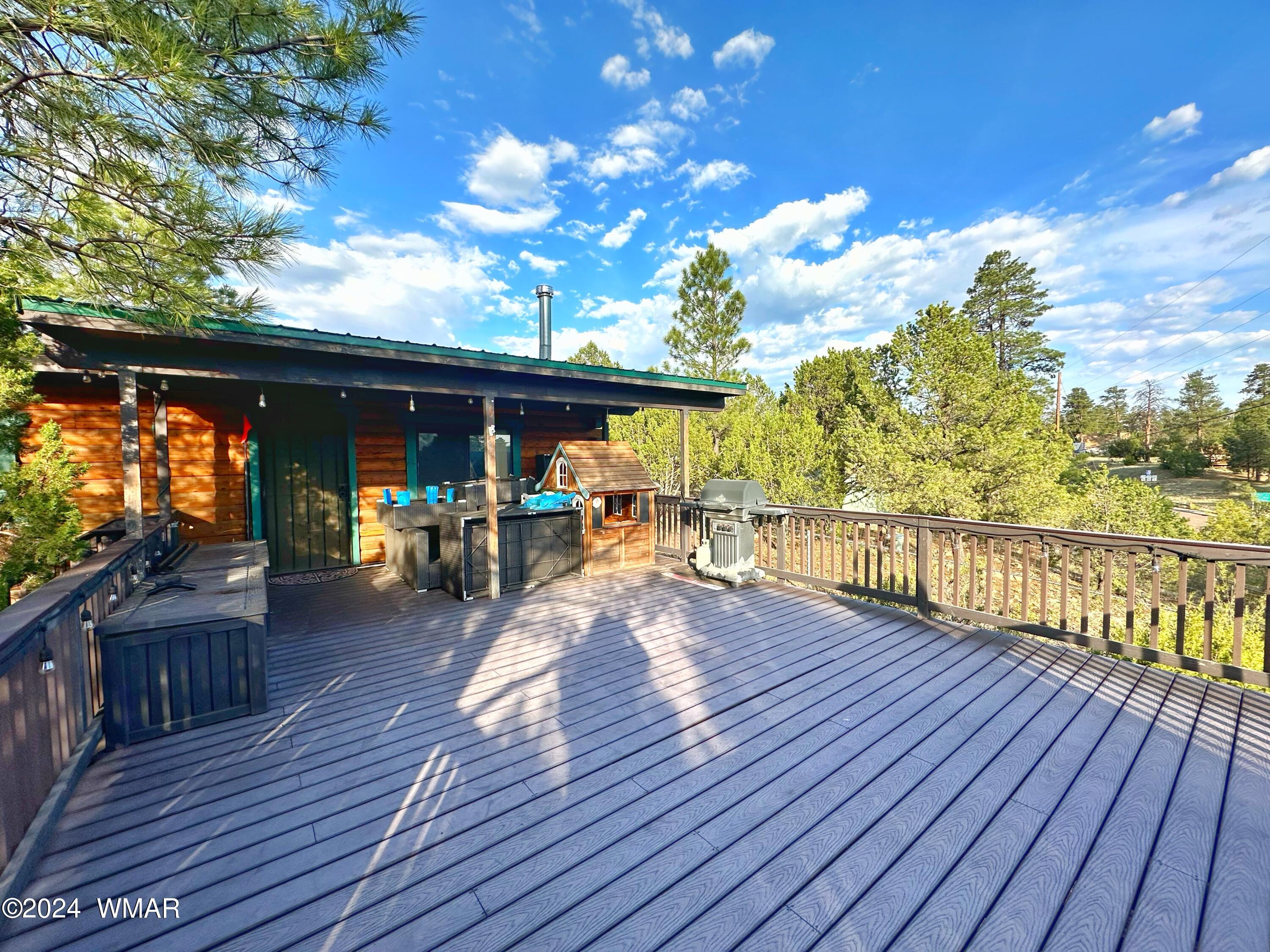 3403 Top View Road Overgaard, AZ 85933 - Photo 17 of 19