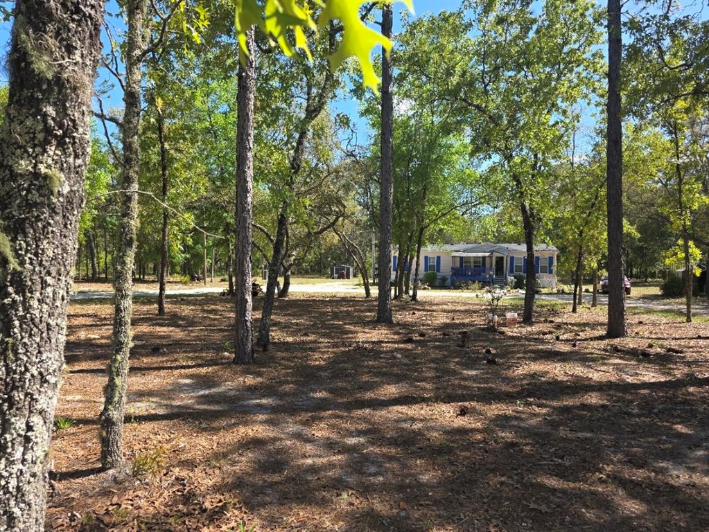 10630 Northeast 80th Street Bronson, FL 32621 - Photo 3 of 19 a view of a outdoor space with trees