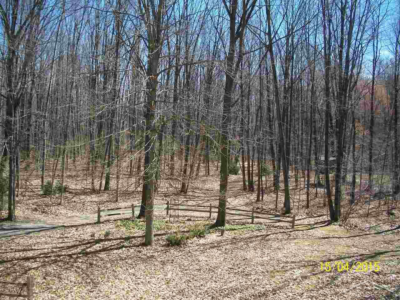 6409 West Gary Road Chesaning, MI 48616 - Photo 24 of 24 31244058-23.JPG