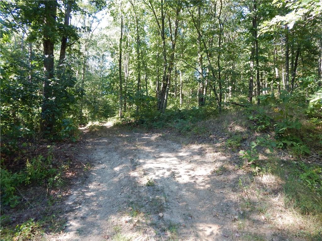 857 Seven Hills Road Chicora, PA 16025 - Photo 8 of 14 Gallery Image 8