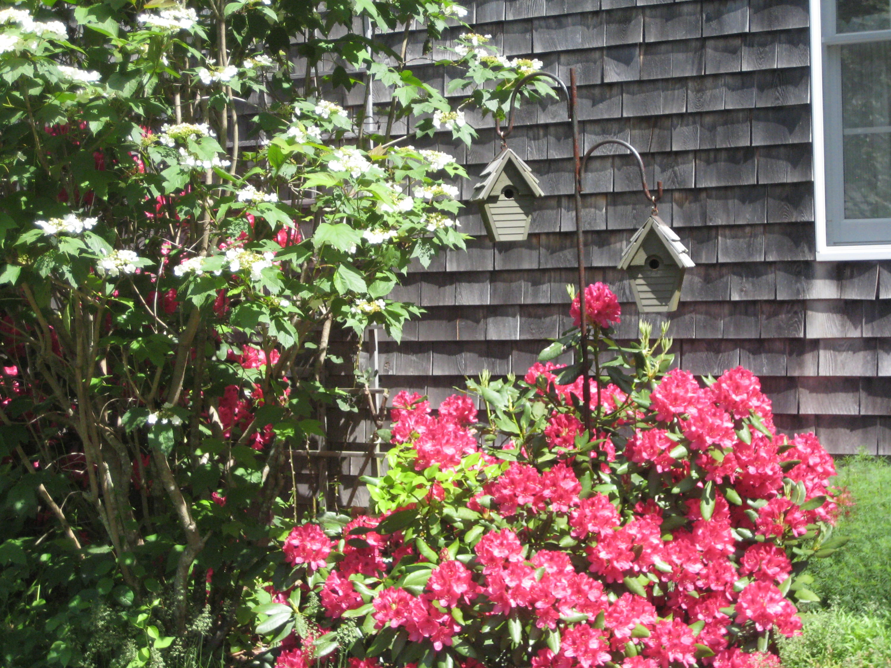 2 Tiffany Road Monument Beach, MA 02532 - Photo 18 of 35 a view of a flower in a garden