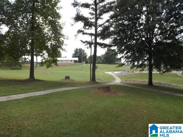 435 Wow Road, Unit 59 Blountsville, AL 35031 - Photo 22 of 49