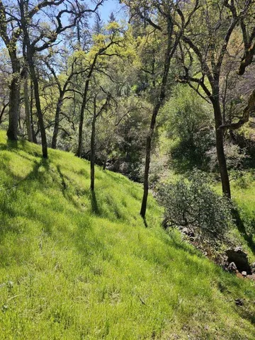 a picture of a field