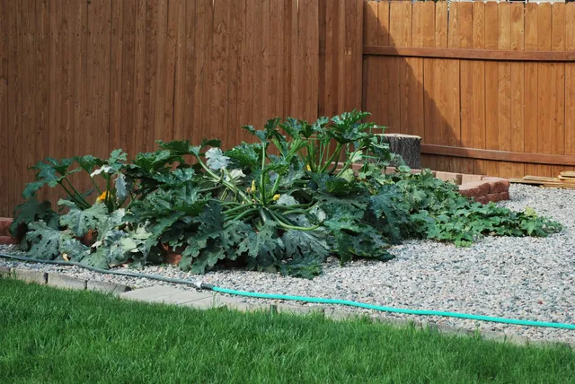 $325,000 | 722 South 13th Street, Worland, WY 82401