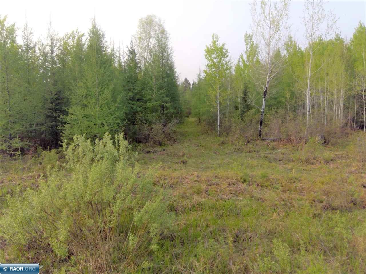 Xxxxx Town Line Road Hibbing, MN 55746 - Photo 2 of 3 Gallery Image 2