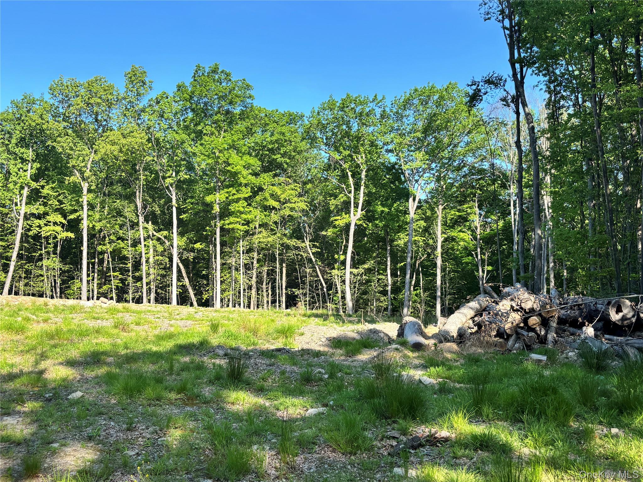 South Plank Road Westtown, NY 10998 - Photo 6 of 14