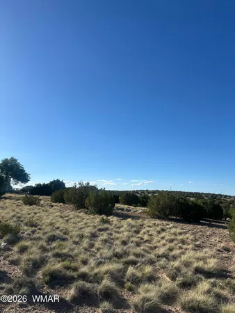$6,500 | 31 Mesquite Drive, Concho, AZ 85924